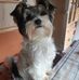 Axel Hoffmann - Facebook