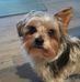 Axel Hoffmann - Facebook