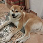Axel Kempf - Facebook
