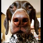 Winston Axel Krawczyk - @winsta__gram__ - Instagram