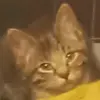 Axel Leon - @axel.leon490 - TikTok