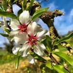Axel Meyer - @bedruckte_blumensamentueten - Instagram