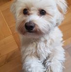 Axel Meyer - Facebook
