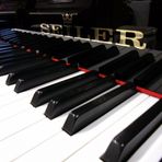 Axel Meyer - Facebook