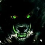 Axel Meyer - @axel.meyer.96780 - Instagram