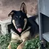 Axel Morales - @axel.moral24 - TikTok