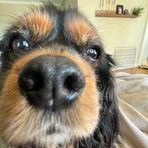 Axel Nilsson - Facebook