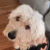 Axel ortiz - @axel.ortiz260 - TikTok