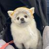 axelpattonpf5458 - @axelpattonpf5458 - TikTok