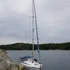 Axel Pedersen - @axelpedersen0 - TikTok