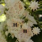 Christopher Axel Pedersen - @hiddenhikesinmaryland - Instagram