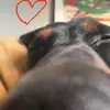 Otto Axel Pedersen-Reng - @otto.axel.pederse - TikTok
