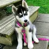 AXEL.PHILLIPS - @axel.rolitas - TikTok