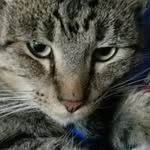 db123456788 - @axel.pollard - Instagram