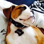 Axel Porter McEntire - @axelboxer - Instagram