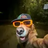 Axel Rocha - @axelrocha5 - TikTok