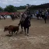 el gavilansillo - @axelrocha5376 - TikTok