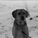 Axel Schmid - Facebook