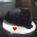 Axel Schmid - Facebook
