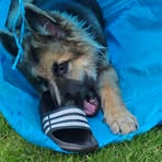 Axel Shepherd - Facebook