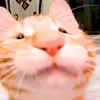Axel Shields - @geoffrey19241 - TikTok