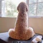 Axel J. - @axel.simpson - Instagram