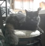 Axel Simpson - Facebook