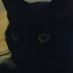 Axel_stephens - @axel_stephens - Instagram