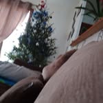 Axel Sternfeld - @axelsternfeld - Instagram