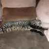 axelsternfeld0lebossdubosslebg - @axelsternfeld0 - TikTok