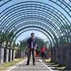 axelsullivan228 - @axelsullivan228 - TikTok
