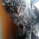 Axel Toro Enriquez - @toroenriquez - Instagram