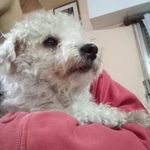 Axel valentin - @axelvalentin612 - Instagram