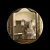 Axel Vasquez - @axel.vasquez222 - TikTok