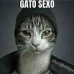 Axel Vélez - @axel.velez.5.87606 - Instagram
