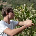Axel Wallin - @axelwallin33 - Instagram