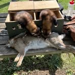 Axel Watson - Facebook