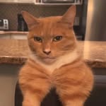 AxelWatson - @axelwatson445 - Instagram