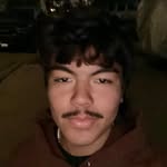 axel webster - @axeljwebster - Instagram