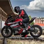 Axel Webster - @bernaldoj - Instagram