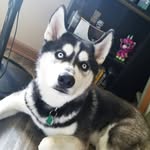 Axel Webster - @_snaxel_ - Instagram
