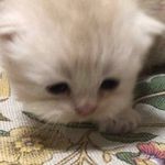 Саша 🥰 - @_axel_werner_ - Instagram