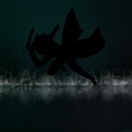 Axel Winter - @axelwinterz - Instagram