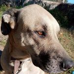 Axel Winters - @axel.winters.35 - Instagram