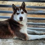 AXEL WOLF - @axelwollf - Instagram
