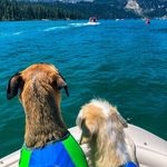 Axel & Nova Wright - @axelnovaadventures - Instagram