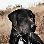 Axel & Hollow Yates - @axel.hollow - Instagram