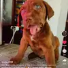 axellramirez56 - @axellramirez0123 - TikTok