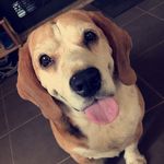 Axel Cooper - @axel.cooper - Instagram