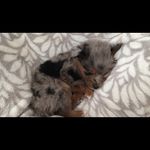 Axl - @axl.cooper - Instagram